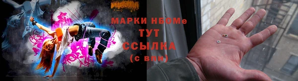 стафф Инта