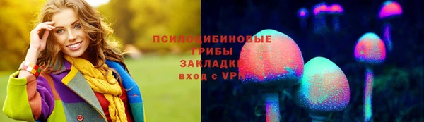 стафф Инта