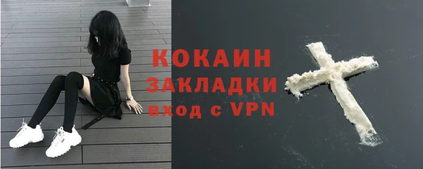 стафф Инта