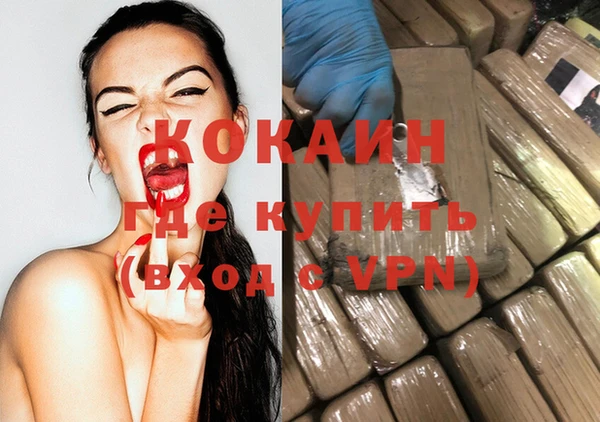 стафф Инта