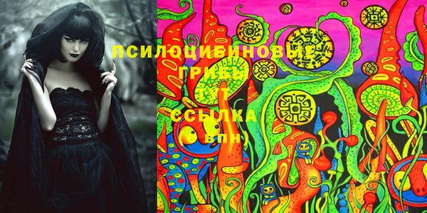 круглые Иннополис