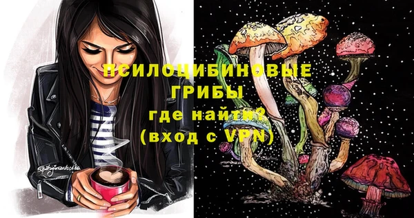 стафф Инта