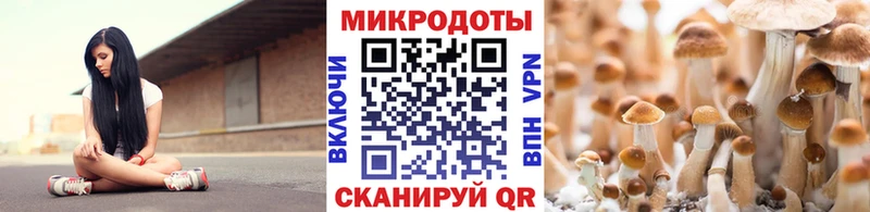 Купить  Нюрба  Галлюциногенные грибы мухоморы 